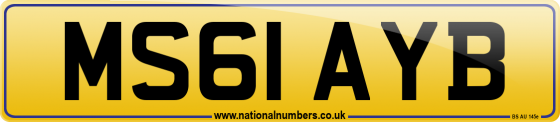 MS61 AYB