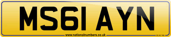 MS61 AYN