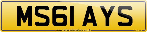 MS61 AYS