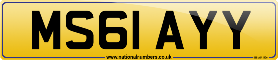 MS61 AYY