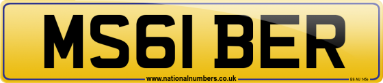 MS61 BER