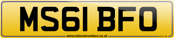 MS61 BFO