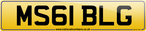 MS61 BLG