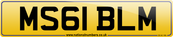 MS61 BLM