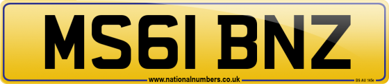 MS61 BNZ
