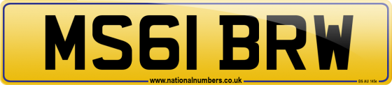 MS61 BRW