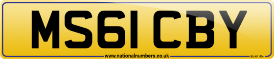 MS61 CBY