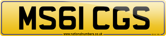 MS61 CGS