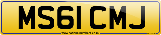 MS61 CMJ