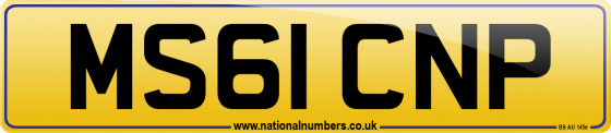 MS61 CNP