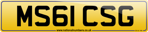 MS61 CSG