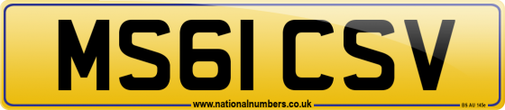 MS61 CSV