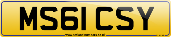 MS61 CSY