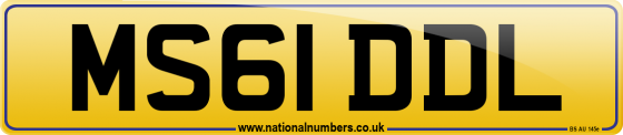 MS61 DDL