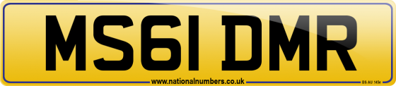 MS61 DMR
