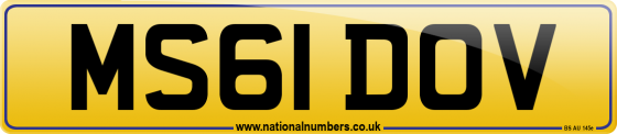 MS61 DOV