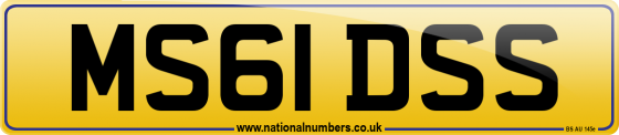 MS61 DSS