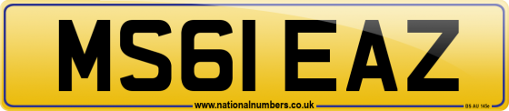 MS61 EAZ