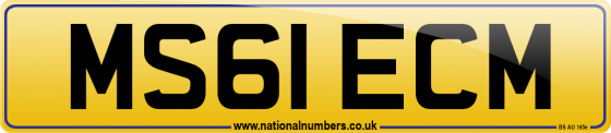 MS61 ECM