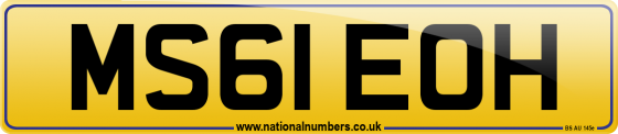 MS61 EOH