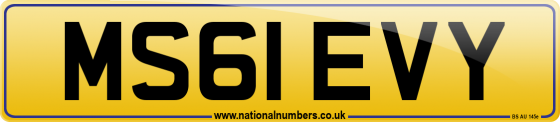 MS61 EVY