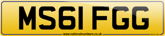 MS61 FGG