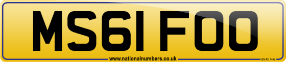 MS61 FOO
