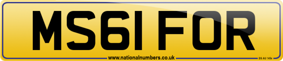 MS61 FOR