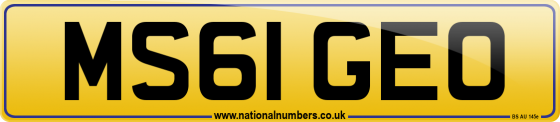 MS61 GEO