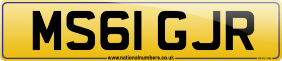 MS61 GJR