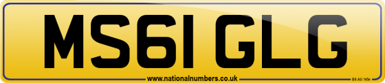 MS61 GLG