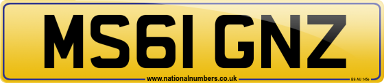 MS61 GNZ