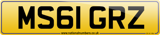 MS61 GRZ
