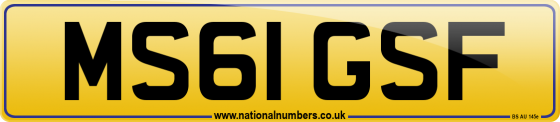 MS61 GSF