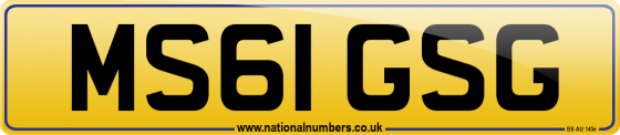 MS61 GSG