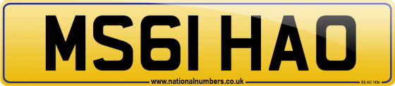 MS61 HAO