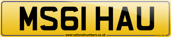 MS61 HAU