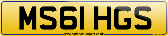 MS61 HGS