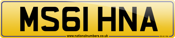 MS61 HNA