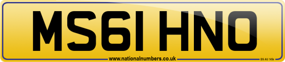 MS61 HNO