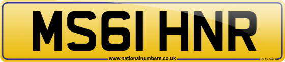 MS61 HNR