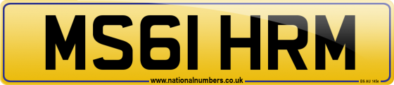 MS61 HRM