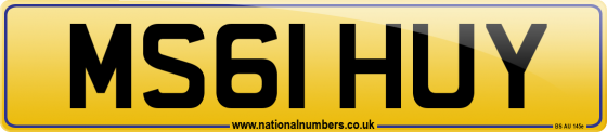 MS61 HUY