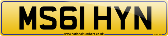 MS61 HYN