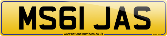 MS61 JAS