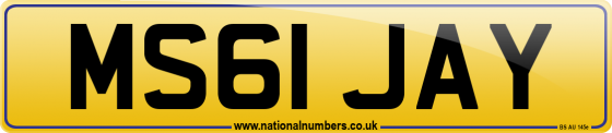 MS61 JAY