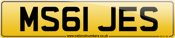 MS61 JES