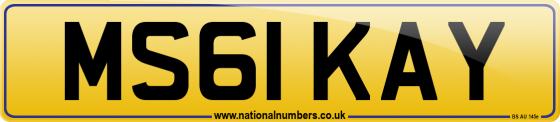 MS61 KAY