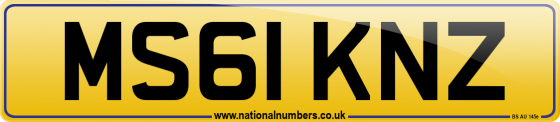 MS61 KNZ