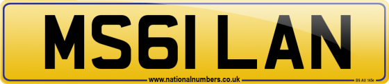 MS61 LAN